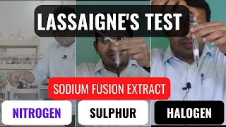 Lassaignes Test I Sodium Fusion Extract I Nitrogen Sulphur Halogen I 50K Views jee neet [upl. by Bennie362]