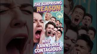 The Surprising Reason Why Yawns are Contagious [upl. by Jenesia]