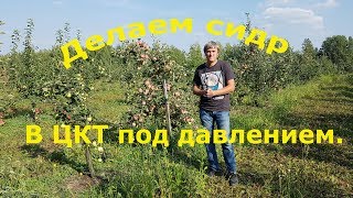 Делаем сидр в ЦКТ под давлением [upl. by Gustafson]