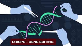 CRISPR GENE EDITING  CRISPR  KNOW CRISPR GENE  2024 [upl. by Neerak]