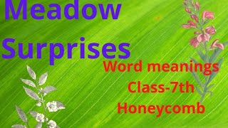 NCERT CLASS 7 Poem8  Meadow Surprises Word Meanings in hindi and English English Book Honeycomb [upl. by Enayr]