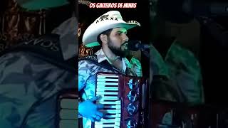 Os Gaiteiros de Minas tocando Sucesso sertanejo raíz music baile musica sertanejo sertanejoraiz [upl. by Namrac]