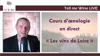 COURS DOENOLOGIE  LES VINS DE LOIRE  Devenez incollable [upl. by Ardeid]