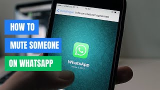 How to Mute Someone on WhatsApp  Quick amp Easy Guide [upl. by Voccola]