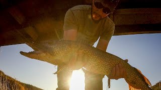 Topwater River Pike  Fishing Under the Bridge [upl. by Ilanos]