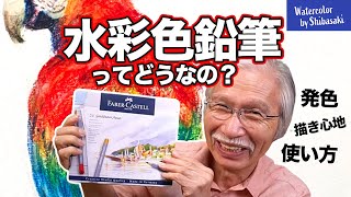 【水彩色鉛筆】プロ画家による「忖度なし」の徹底検証。  ファーバーカステル  発色  描き心地  描き方 [upl. by Pacorro]