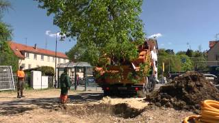 Großbaumverpflanzung von der Ledergasse an den Josefsbach [upl. by Sedberry]