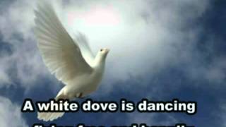 White Dove Fly HighCasting Crowns with lyrics [upl. by Lurie320]