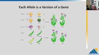 BIOL201 Ch111  The Process of Meiosis [upl. by Catton]