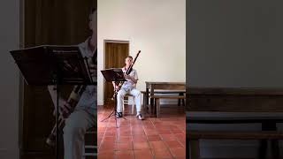 Wouter Verschuren plays Bach Menuet I amp II bwv 1008 arranged for bassoon [upl. by Akenal]