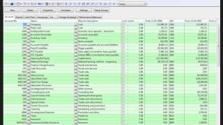 Working Papers CQ  When importing monthly trial balances how do I modify them [upl. by Desi933]