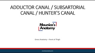 Gross Anatomy  Lower Limb  Adductor canal [upl. by Ennaylime]