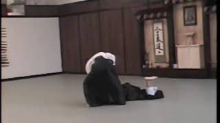 Tenshinkan Dojo Aikido [upl. by Draude14]