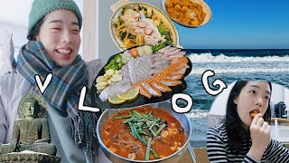 🌱273 Vlog I 수도 동파 I 카페 알바 I 양양에서 보낸 연말 I 속초 맛집 추천 I 김갈릭 [upl. by Rosati]