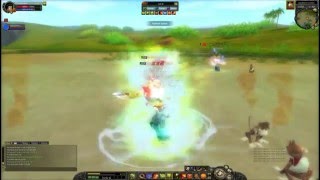 SRO Fun PVP [upl. by Haiasi526]