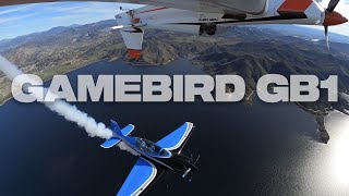 Flying Formation With a Gamebird GB1  Edge 540 [upl. by Yzzik]