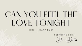 Can you feel the love tonight  violin harp duet [upl. by Reve667]