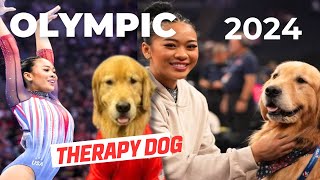 Watch viral video of Olympics therapy dog  show me dogs  dog  parisolympics2024 [upl. by Hightower271]