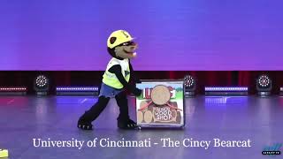 The Cincy Bearcat 20212022 First Place UCA Mascot Nationals Performance [upl. by Delacourt]