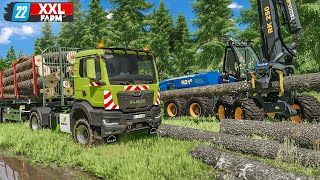 LS22 Start der XXLRodung im Wald 100 Bäume weichen  XXL Farm 2 15  FARMING SIMULATOR 22 [upl. by Jacqui258]