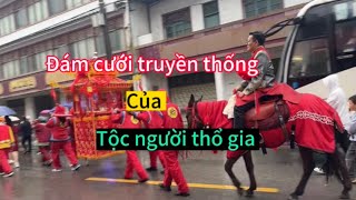 2 Dam cưới người thổ gia TQchú rể thuê ngựa và kiệu đi rước dâu [upl. by Bernetta]