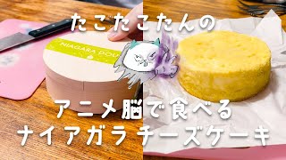 ルタオの限定ナイアガラチーズケーキを食べたらゾルトラークさせれる父ちゃん家族の時間 ルタオ チーズケーキ進撃の巨人 進撃の巨人葬送のフリーレン [upl. by Swayder252]