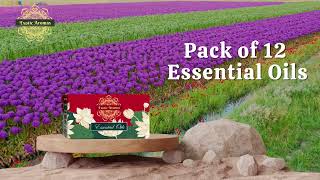 Exotic Aromas Essential oil Pack of 12 [upl. by Laban]