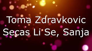 Toma Zdravkovic  Secas Li Se Sanja Tekst [upl. by Hceicjow926]