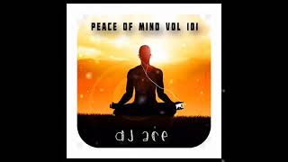 SLOW JAM MIX 2024  03 NOVEMBER  PEACE OF MIND VOL 101  DJ Ace ♠️ [upl. by Leagiba653]