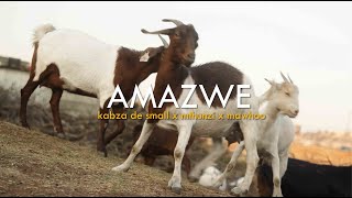 Kabza De Small amp Mthunzi  Amazwe feat MaWhoo Official Music Video [upl. by Tisdale]