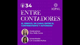 Problemáticas atendidas por Síndicos – Notas Financiera [upl. by Sucramad]