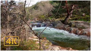 Relaxing Waterfall and Stream Sounds 4K Natural Ambience for Sleep and Relaxation [upl. by Josie]