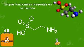 Grupos funcionales presentes en la Taurina [upl. by Nitnilc549]