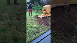 Vermeer SC70TX stump grinder Antrobus Tree Stump Removal Cheshire Manchester [upl. by Jehoash944]