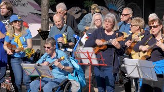 Southampton Ukulele Jam ft The Tuneless Choir  A little Respect [upl. by Ailic]