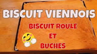 BISCUIT VIENNOIS  Génoise Roulée  IDÉAL pour les bûches et gâteaux roulés   Spicynthia [upl. by Tnarud394]