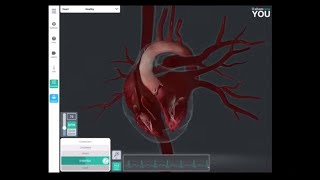 Grade 10 Life Sciences Human Transport System Part 5 Cardiac Valves [upl. by Ahras]