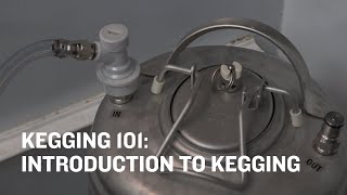 Northern Brewer University  Kegging 101 Intro to Kegging Trailer [upl. by Hallimaj9]