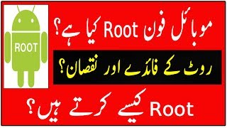 What is Root  advantage and disadvantage of Root UrduHindi [upl. by Nyltiak164]