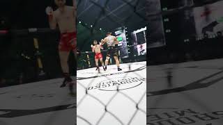 Filipek VS Adrian Cios shorts primemma mma filipek adriancios [upl. by Katrine354]