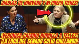 ¡BOFETADON QUE SE LLEVÓ LA LOCA DEL SENADO ¡VERONICA CAMINO LA HIZO TRIZAS [upl. by Ellenid]