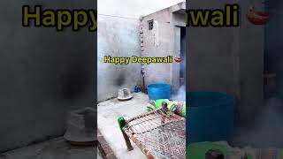 Happy divali 😂😛😂funny subscribe funnyimages fullcomedy viwes viwes [upl. by Bihas]