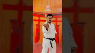 Tonfa 2 Basic Kihon By Master Rajeev at IBSKA  2 Kobudo Tonfa weapon Kihon karate kobudo [upl. by Eillen]