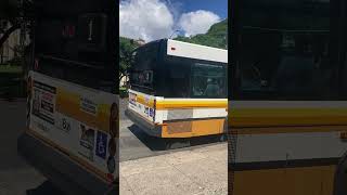 Bus 4028 Gillig Low Floor 40 Ft Route 1 Kahala Mall [upl. by Ynaffit]