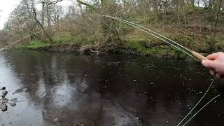 A day on the river fly fishing fishing trout rivers [upl. by Sirtaeb]