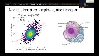 Singlenucleus proteomics identifies regulators of protein transport l Dr Jason Derks l SCP2024 [upl. by Yelkcub]