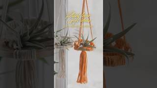 Handmade Air Plant Hangers – Discover More in My Store [upl. by Javler803]