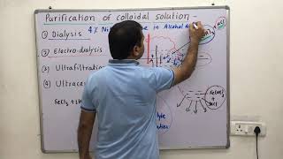 Purification of colloidsdialysis electro dialysis ultrafiltration ultracentrifugation [upl. by Rikki]