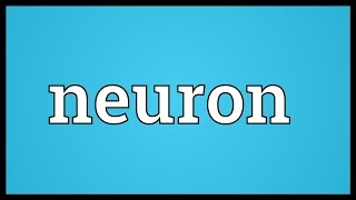 Neuron Meaning [upl. by Areem]