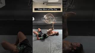 MMA BJJ training techniques viralvideo teakwondo martialarts jiujitsu bjj shorts wrestling [upl. by Slaughter69]